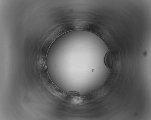 X0000112410091200908211132