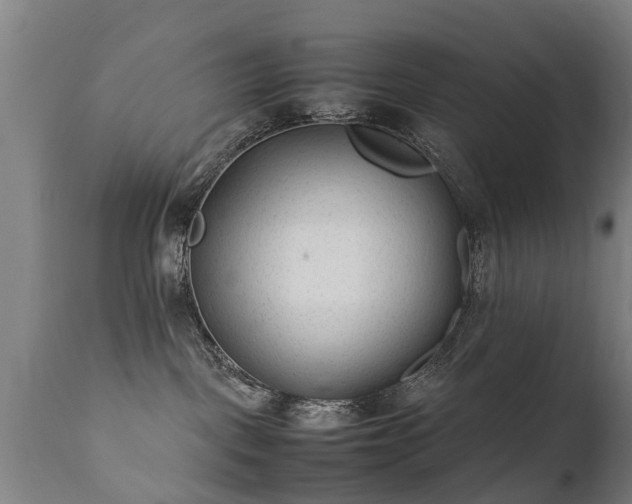 X0000112410093200908211132