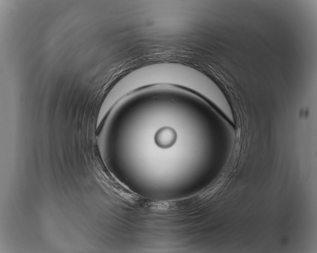 X0000112410096200908211132