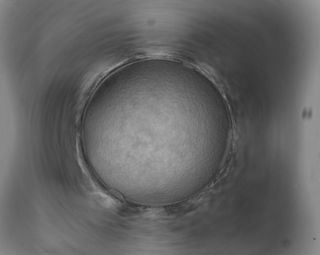 X0000112410097200908211132