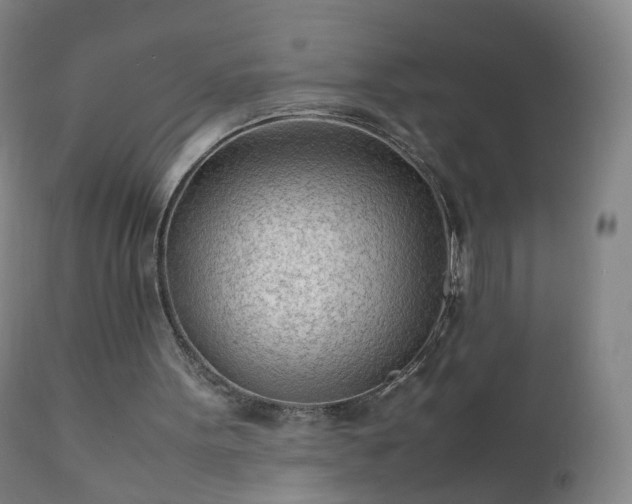 X0000112410099200908211131