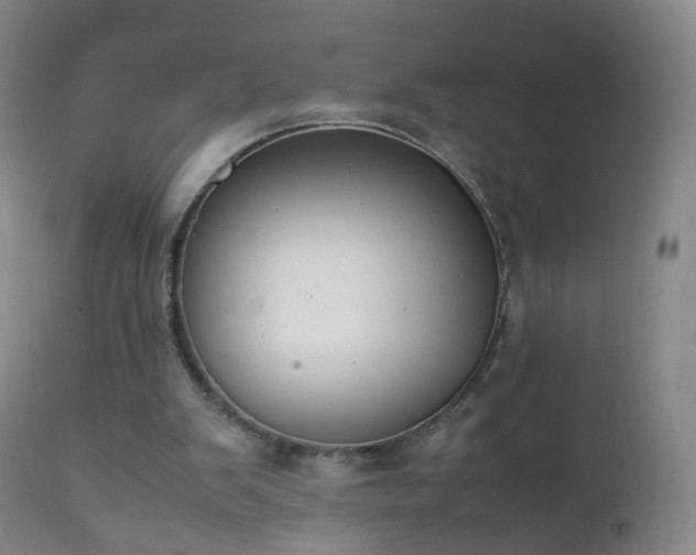 X0000112410103200908211131