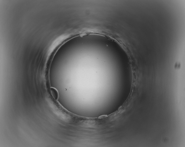 X0000112410104200908211131
