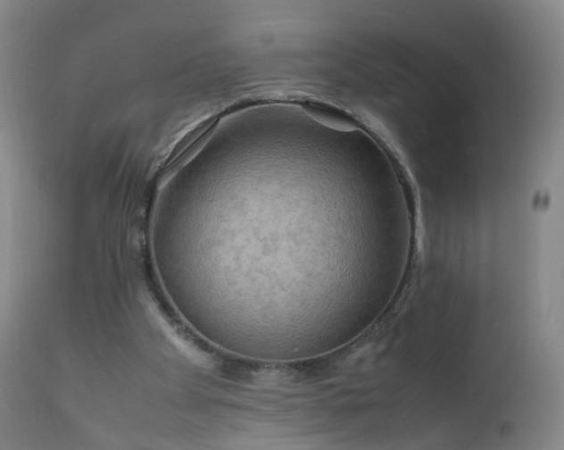 X0000112410105200908211131