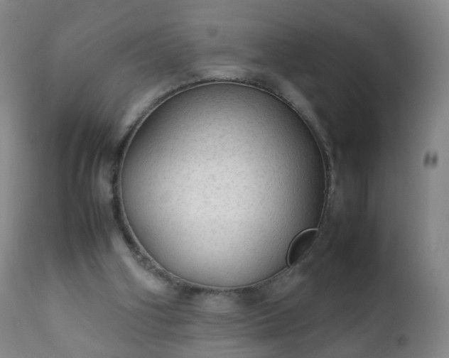 X0000112410106200908211131