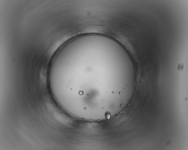 X0000112410108200908211131