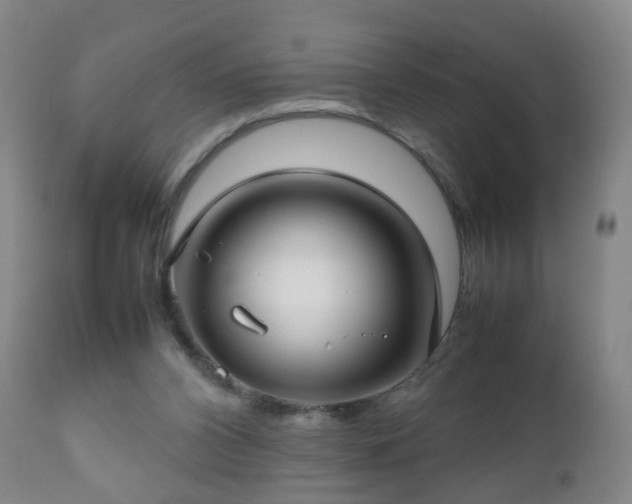 X0000112410112200908211131