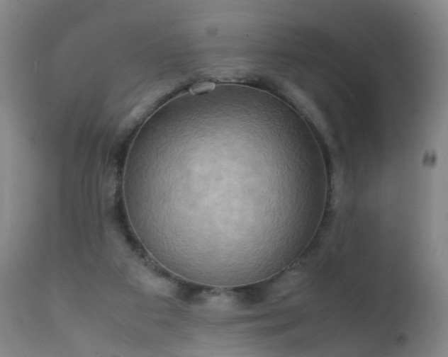 X0000112410113200908211131
