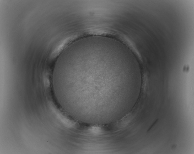 X0000112410114200908211131