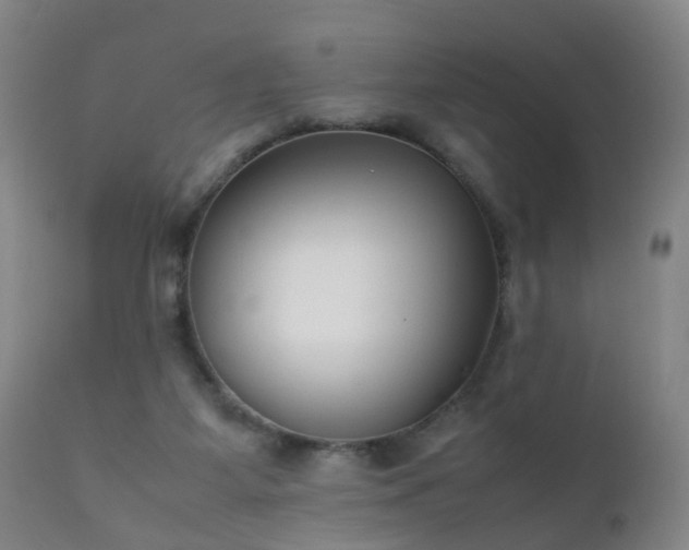 X0000112410115200908211131
