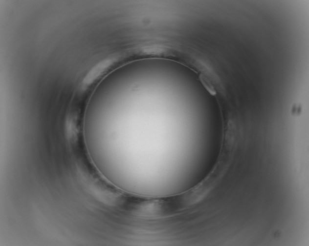 X0000112410116200908211131