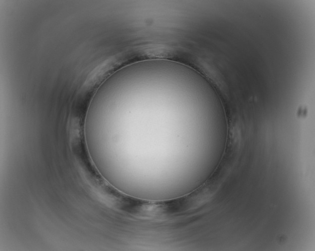 X0000112410117200908211131