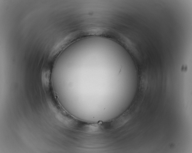 X0000112410118200908211131