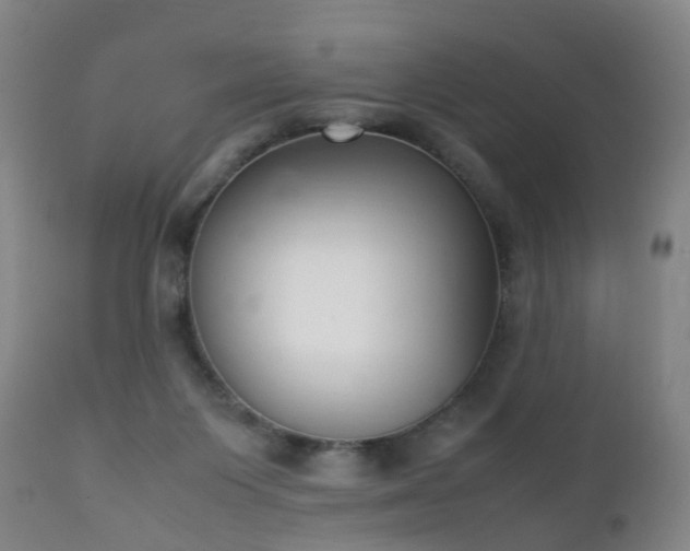 X0000112410119200908211131