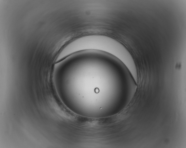 X0000112410120200908211131
