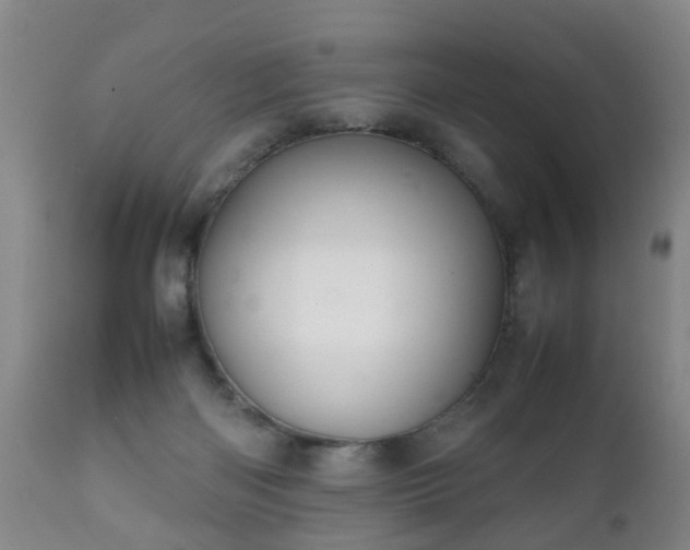 X0000112410122200908211131