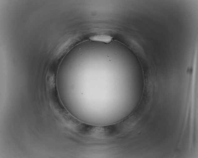 X0000112410123200908211131