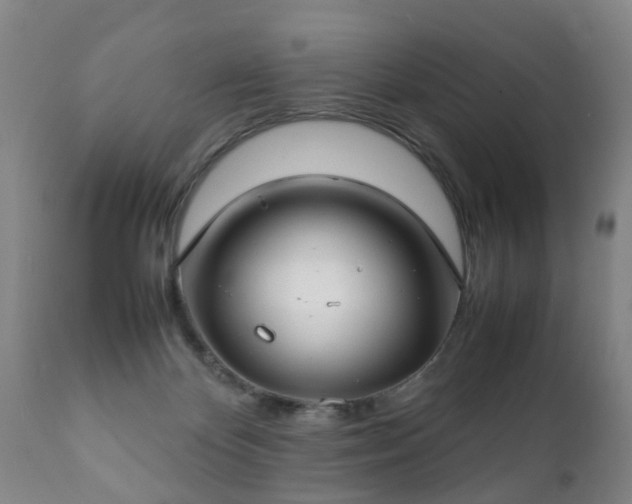 X0000112410124200908211131