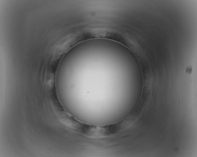 X0000112410125200908211131