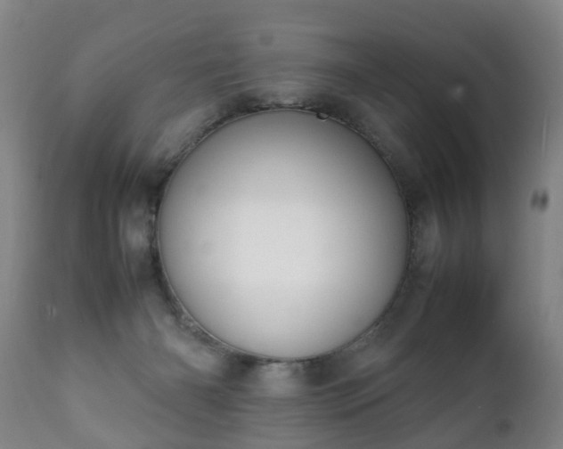 X0000112410126200908211131