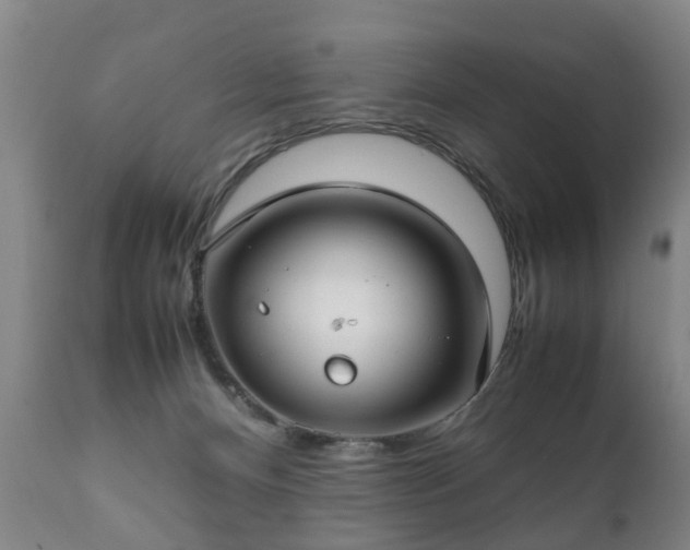 X0000112410128200908211131