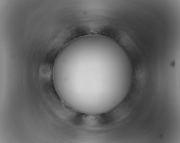 X0000112410129200908211131