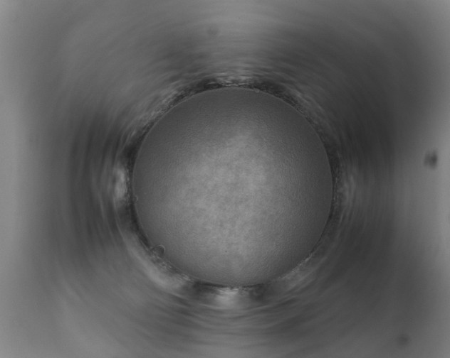 X0000112410130200908211131