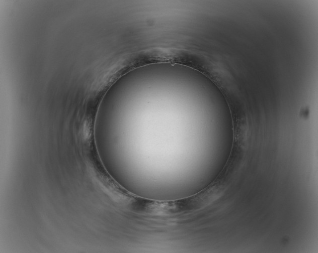X0000112410131200908211131