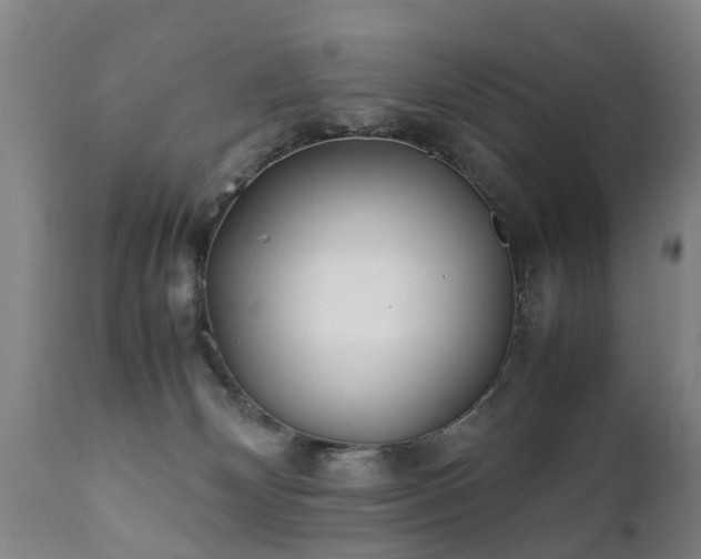 X0000112410132200908211131