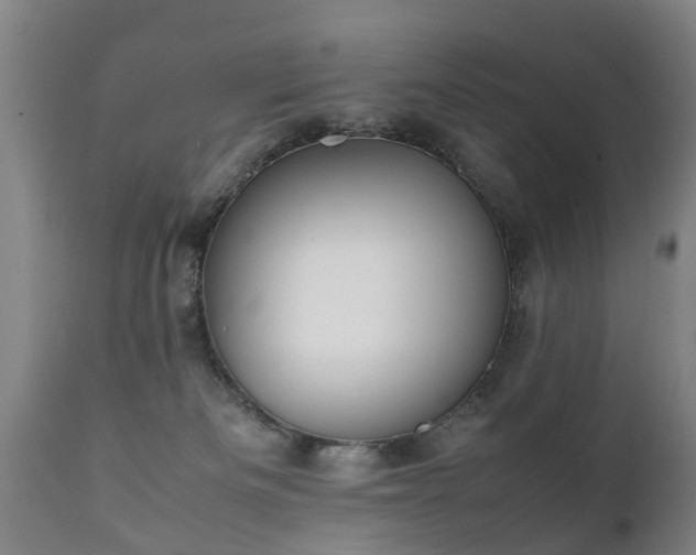 X0000112410133200908211131