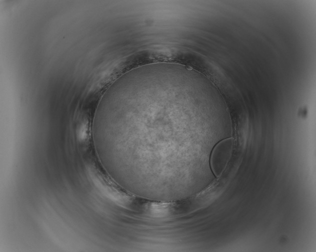 X0000112410134200908211131