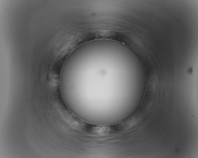 X0000112410135200908211131