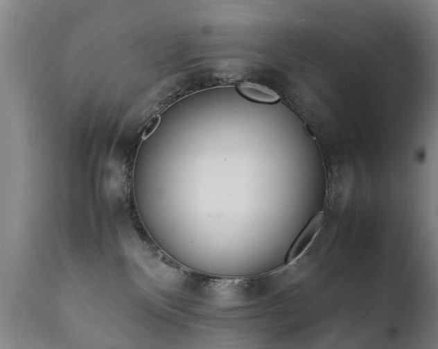 X0000112410136200908211131