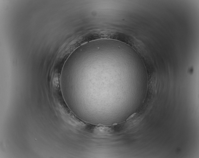 X0000112410137200908211131