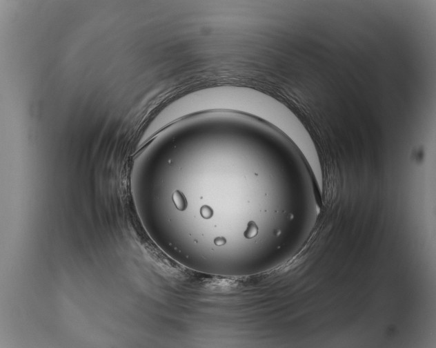 X0000112410140200908211131