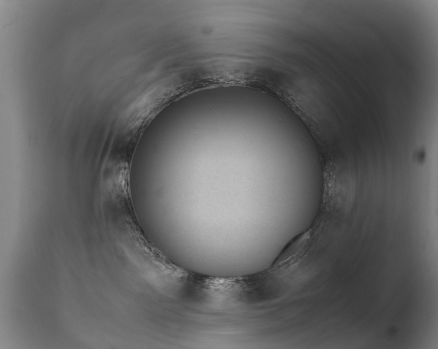 X0000112410141200908211131