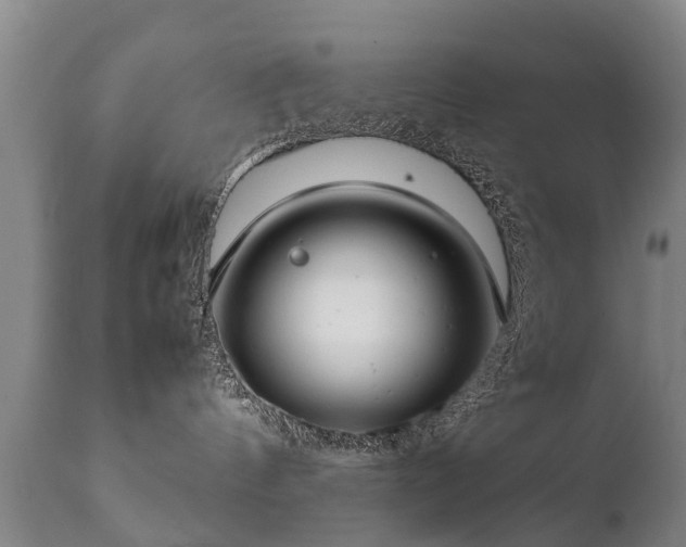 X0000112410144200908211131