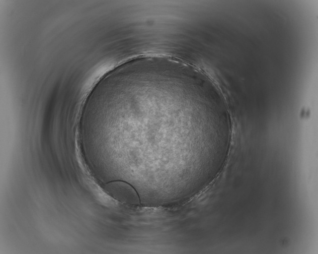 X0000112410145200908211130