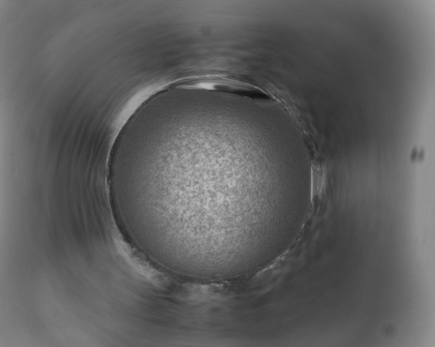 X0000112410147200908211130