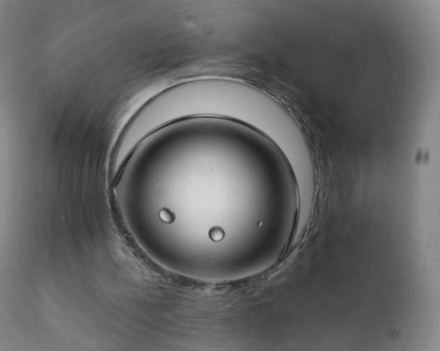 X0000112410148200908211130