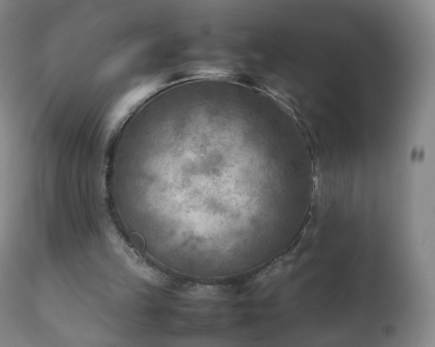 X0000112410149200908211130