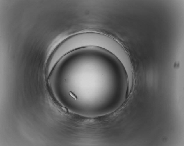 X0000112410152200908211130