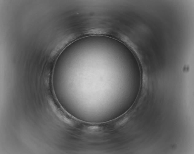 X0000112410153200908211130