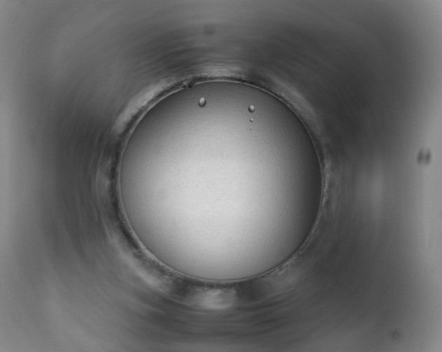 X0000112410155200908211130