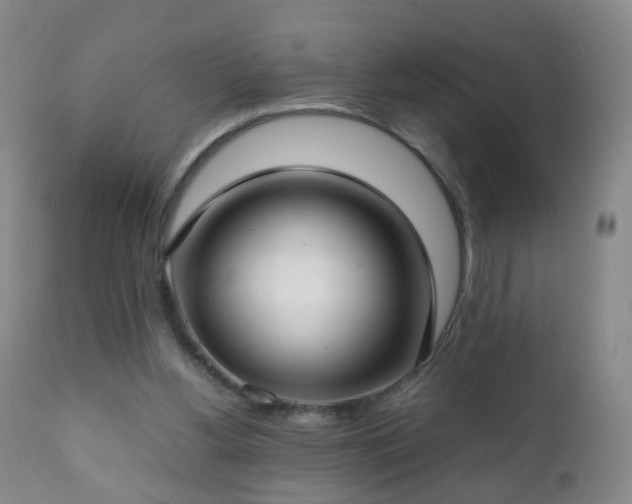 X0000112410156200908211130