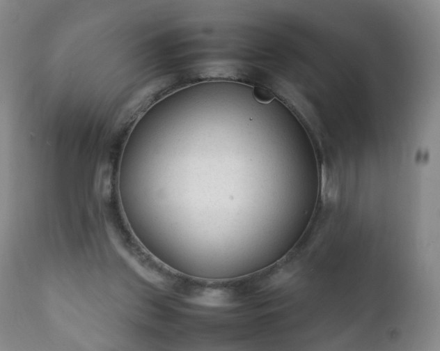 X0000112410157200908211130