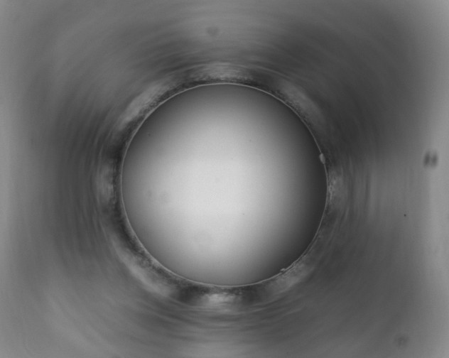 X0000112410158200908211130