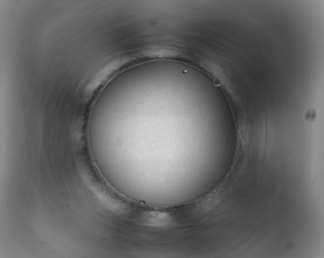 X0000112410159200908211130