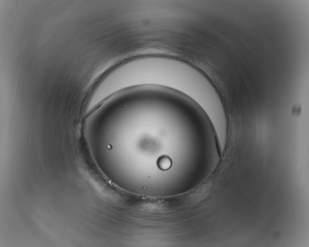 X0000112410160200908211130