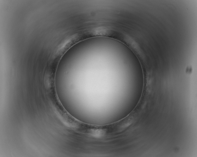 X0000112410161200908211130